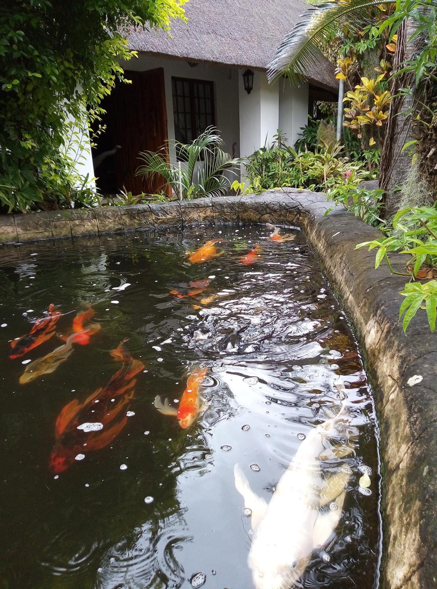 African Ambience Guest House Saint Lucia Estuary المظهر الخارجي الصورة