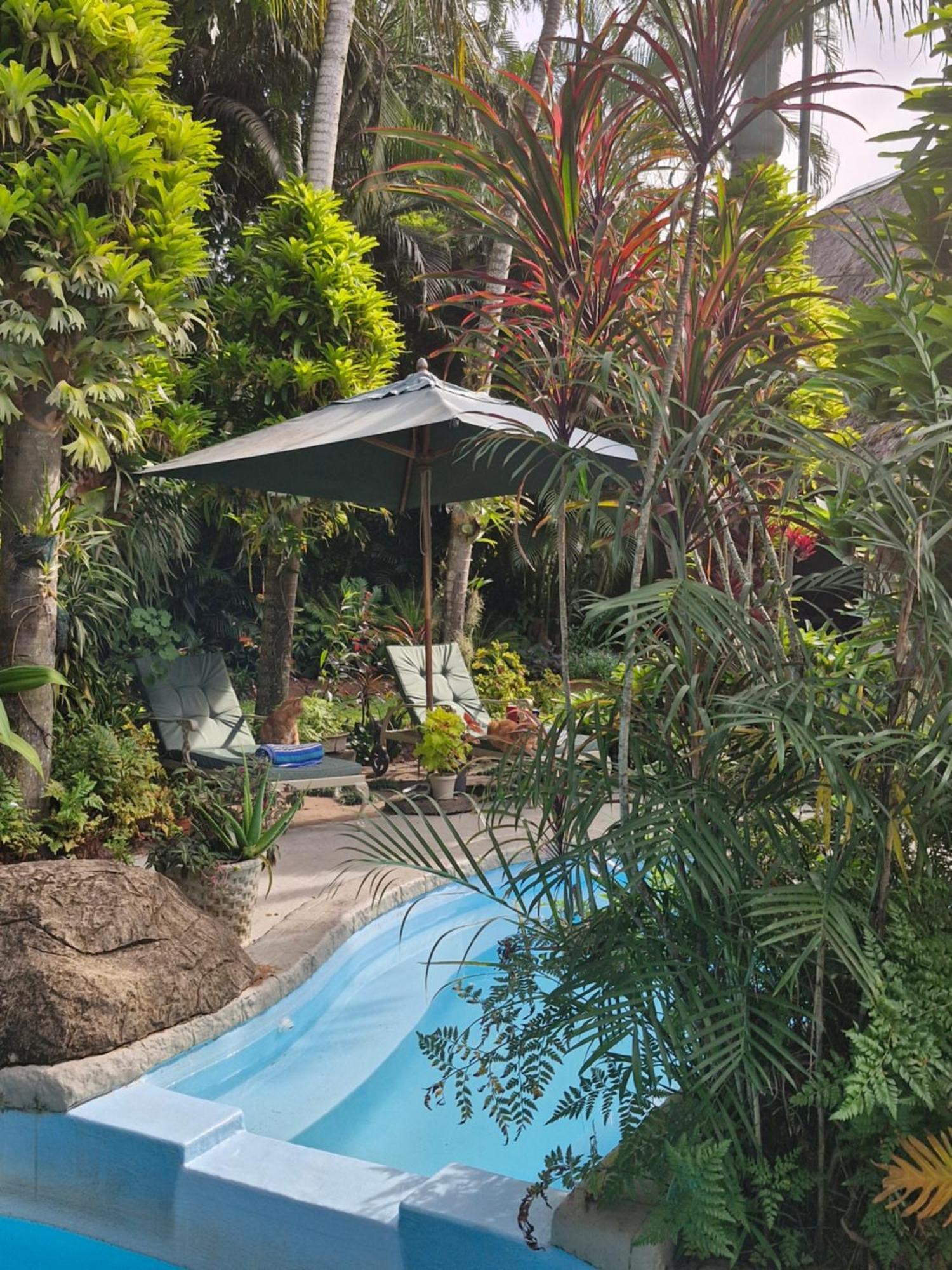 African Ambience Guest House Saint Lucia Estuary المظهر الخارجي الصورة