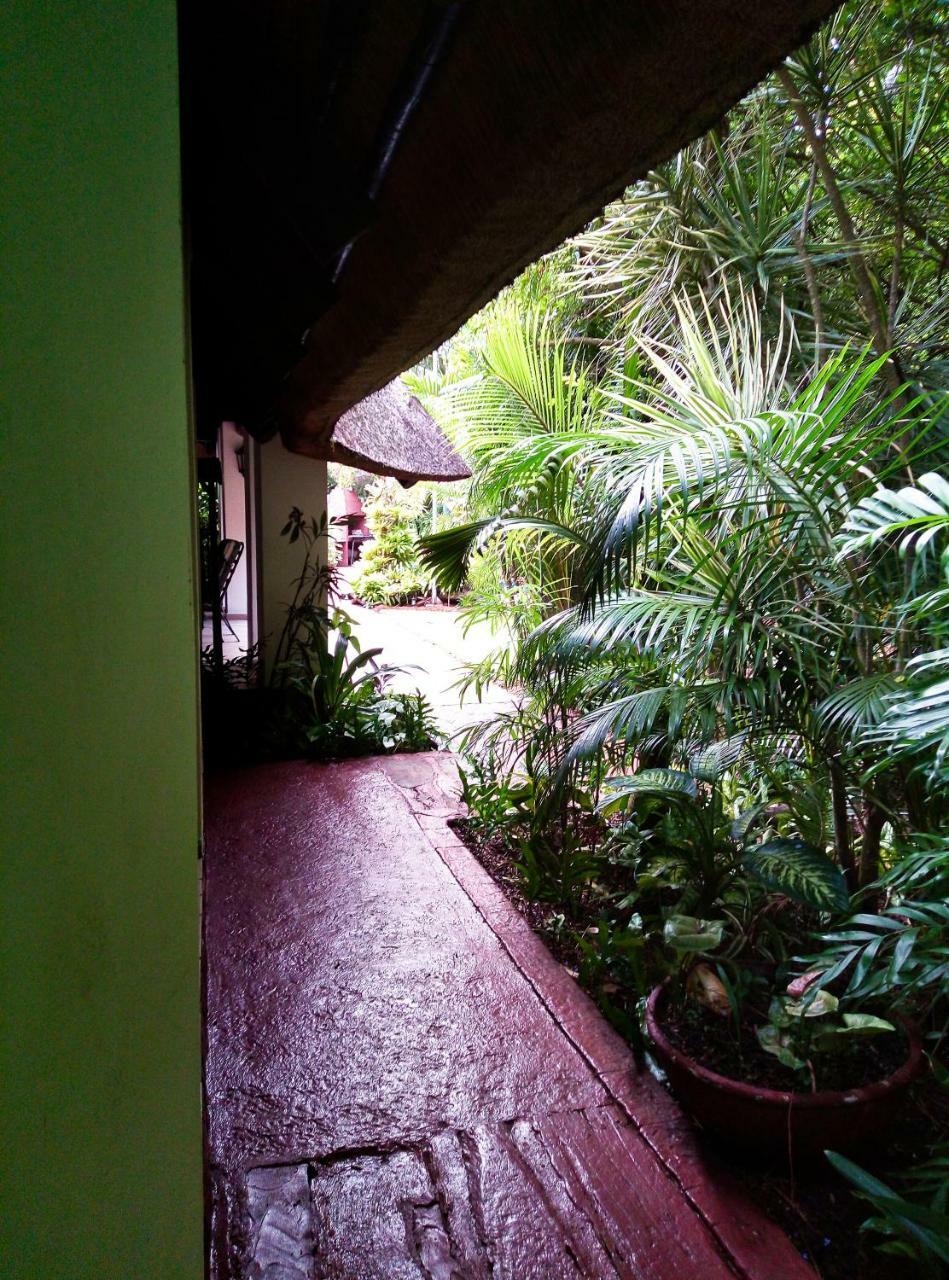 African Ambience Guest House Saint Lucia Estuary المظهر الخارجي الصورة