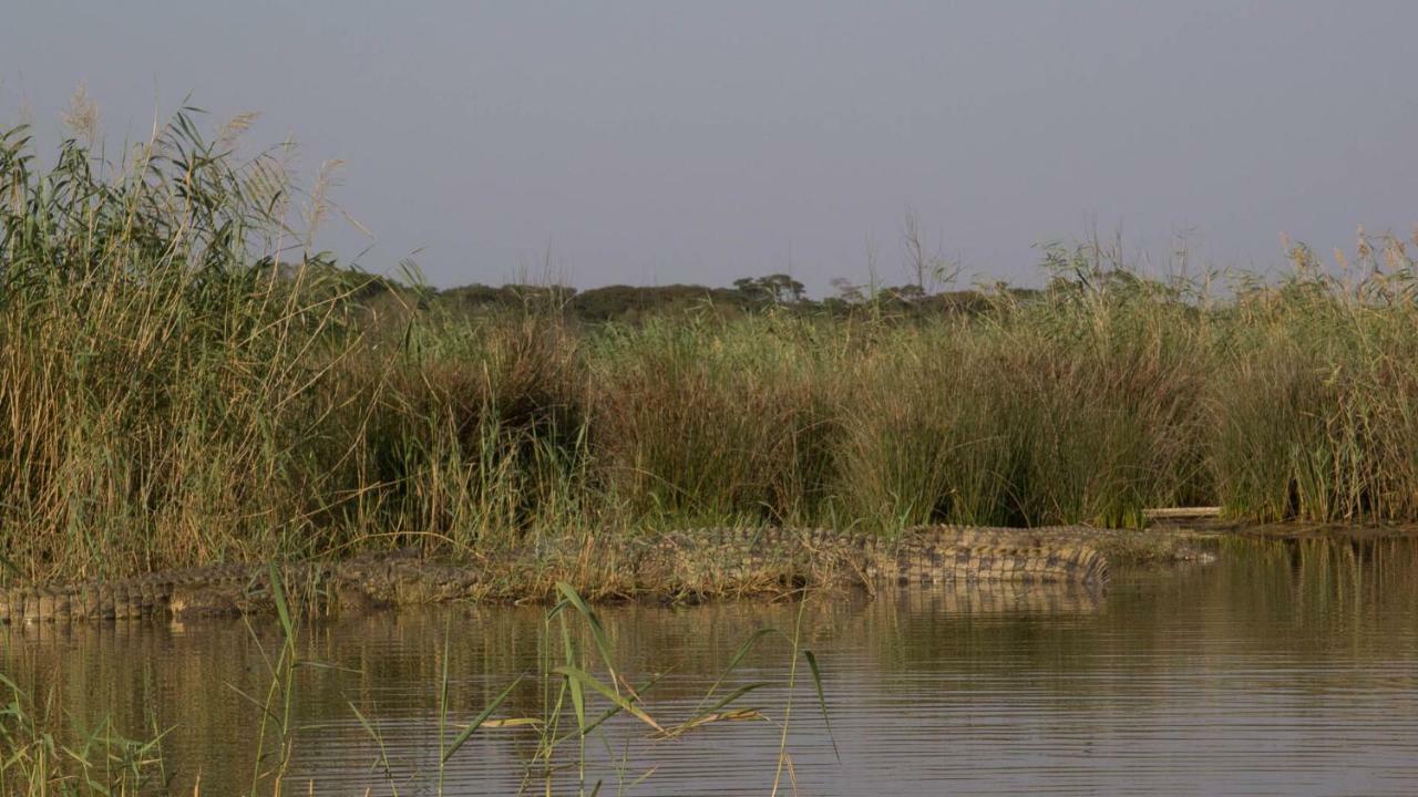 African Ambience Guest House Saint Lucia Estuary المظهر الخارجي الصورة